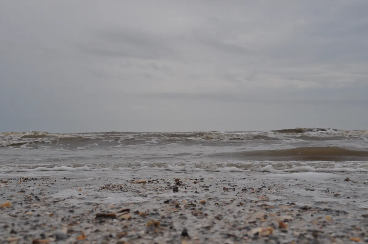 Hurricane Country — Cameron Parish and the Art of Coming Back
