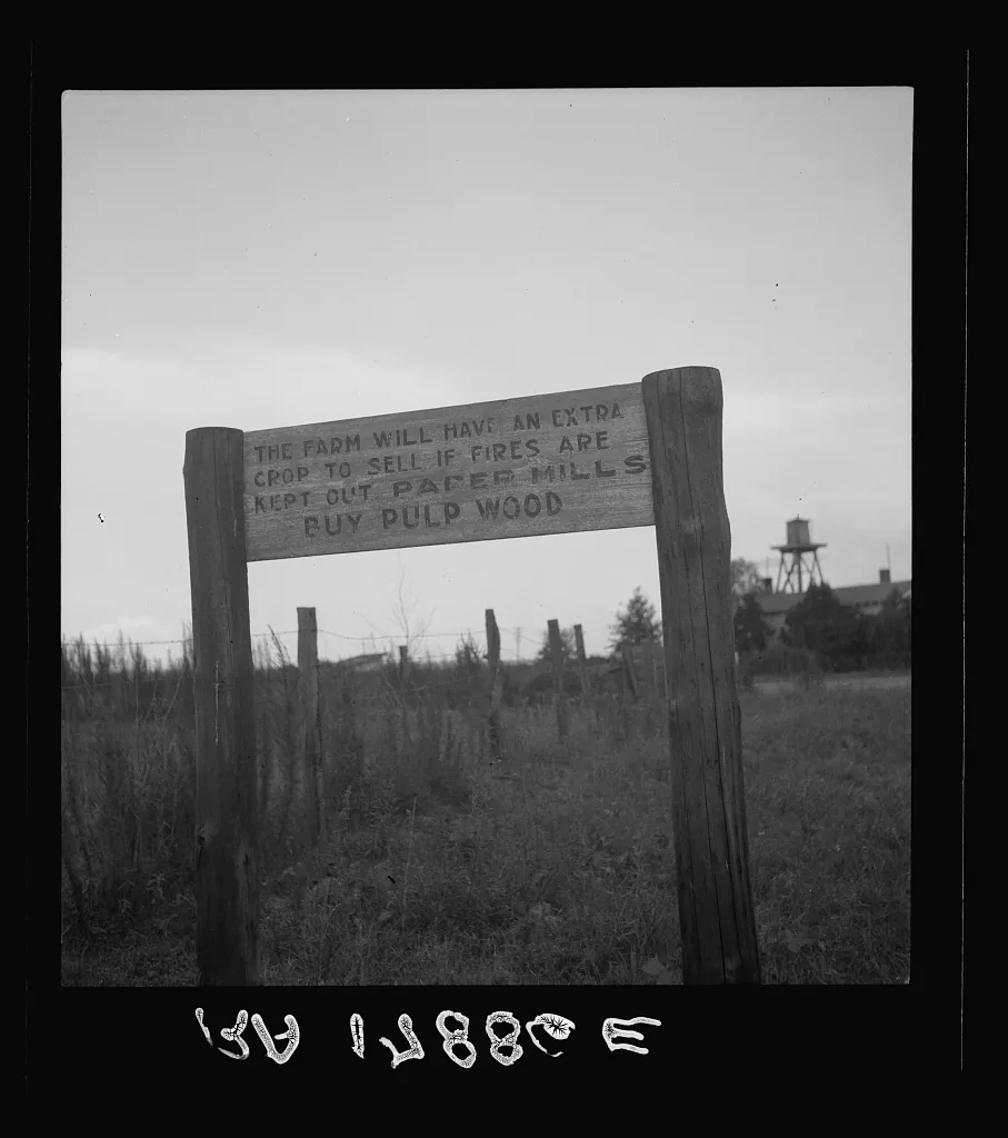 Roadsign near Fullerton, Louisiana — what was left to point the way