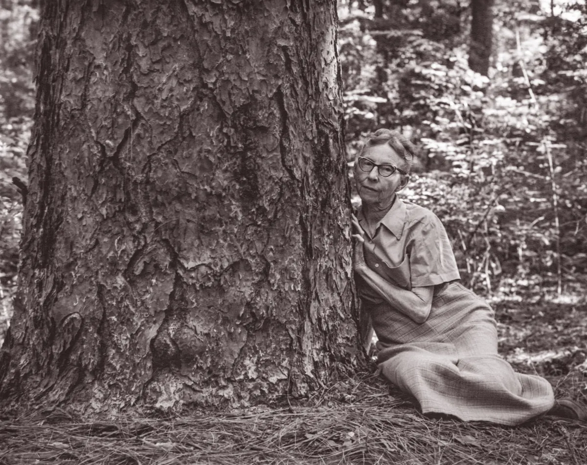 Caroline Dormon and the Fight for Kisatchie