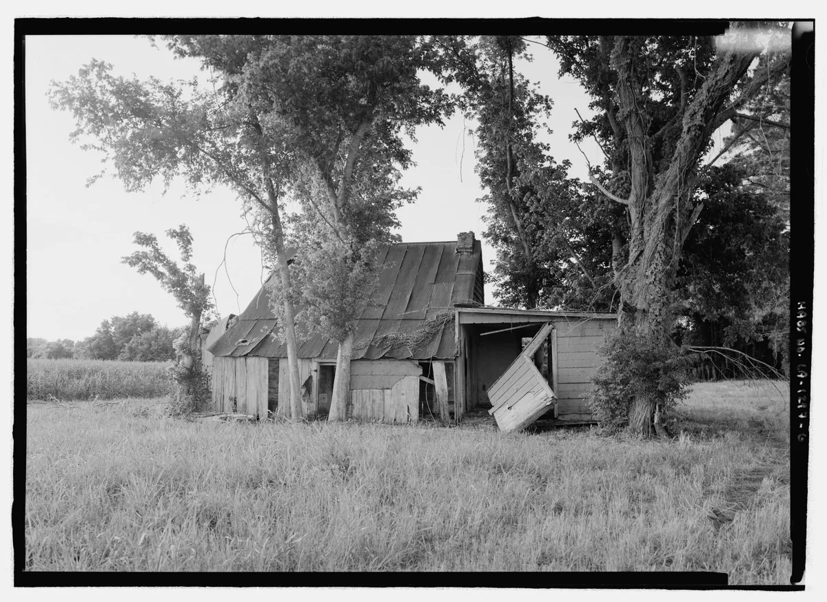 Pillsbury, Edward A, field team; Maksay, Katalin, field team; Gruszecki, Maciej, field team; Wright, Caroline, field team; Wilson, Jon L, field team; , 1933