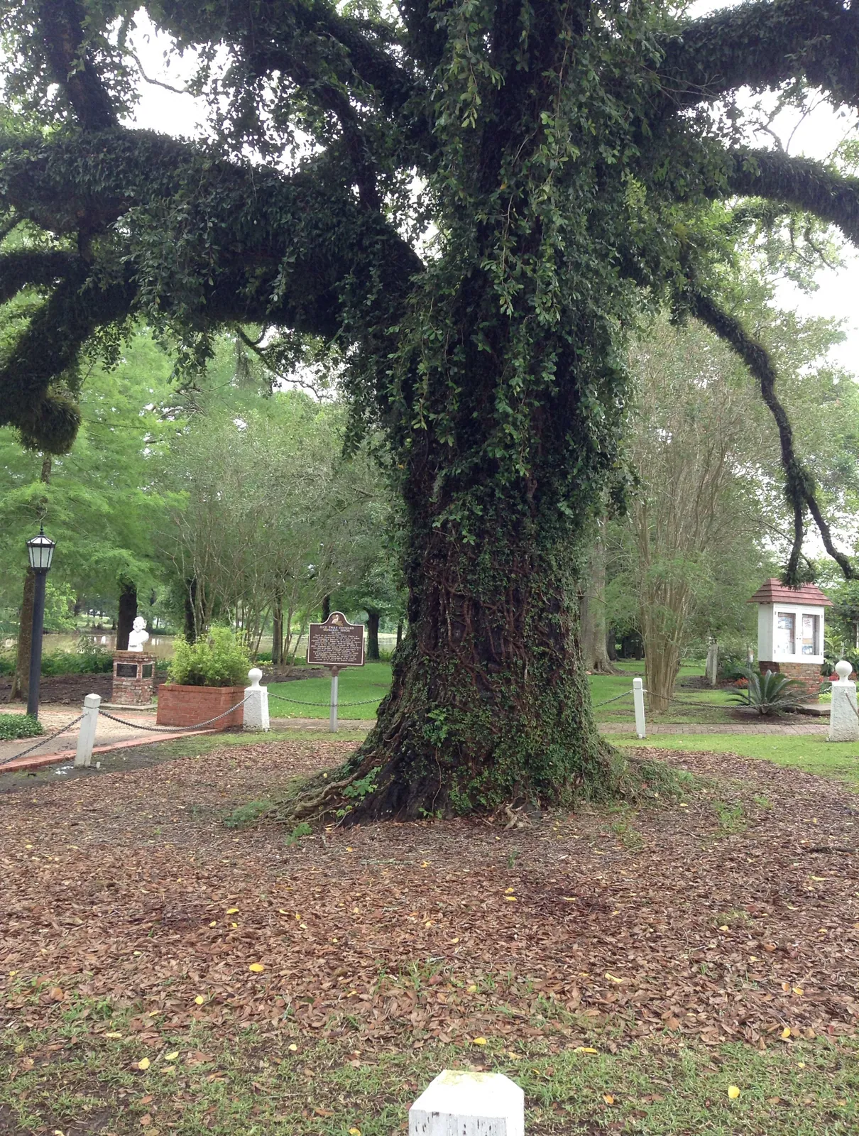 Acadiana