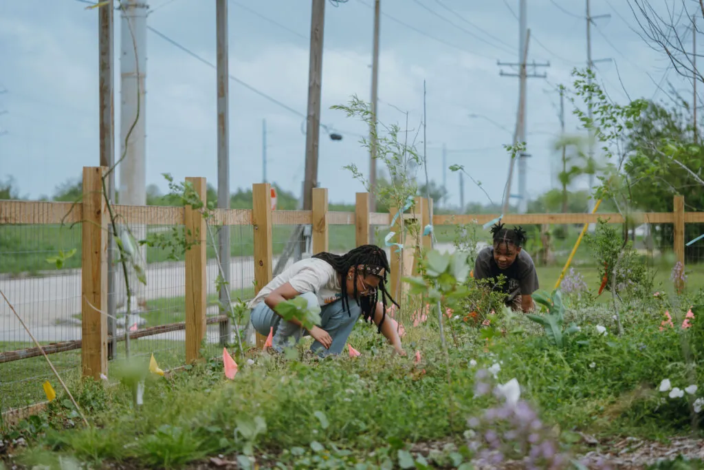 Lower 9th Ward Center for Sustainable Engagement