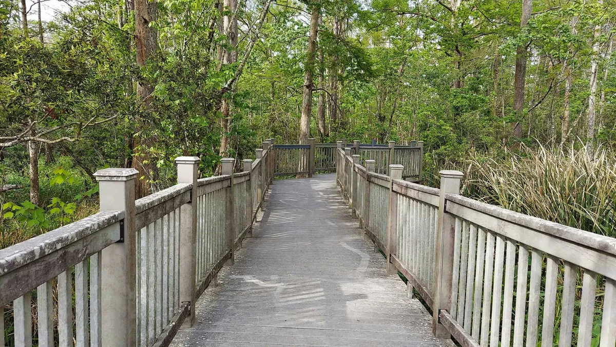 Lockport Elevated Boardwalk