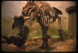 Museum of Geology at South Dakota Mines — historical photo
