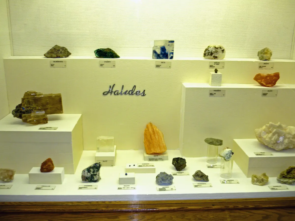 Museum of Geology at South Dakota Mines
