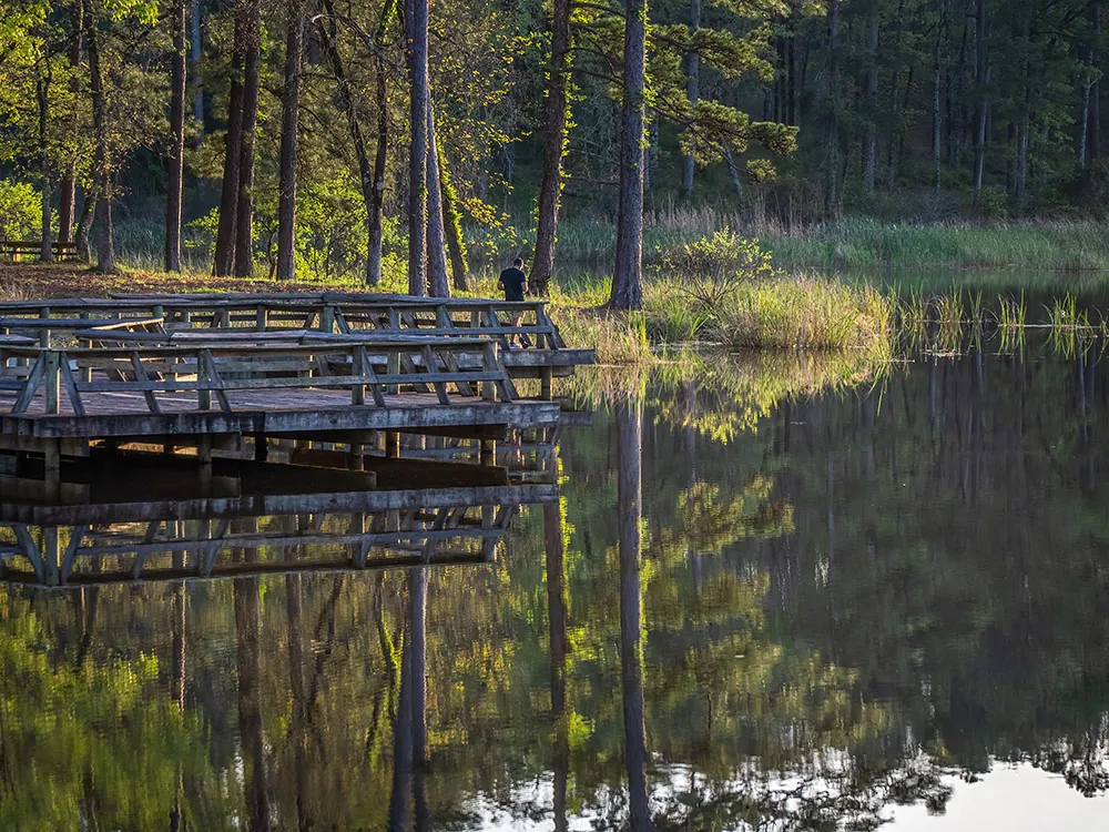 Valentine Lake Recreation Area