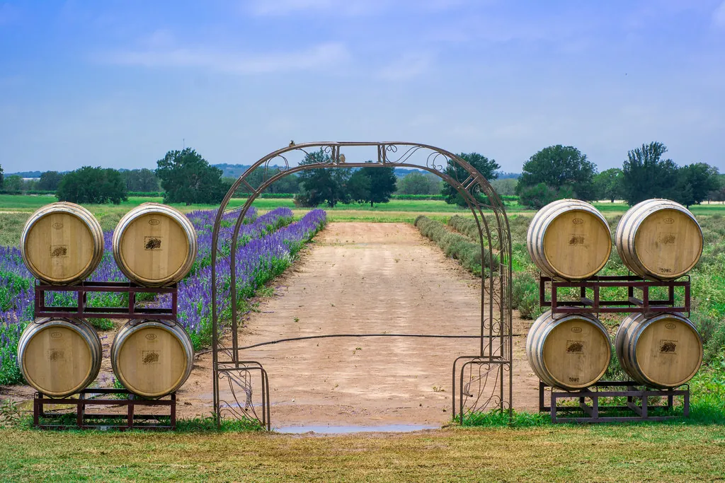 Becker Vineyards