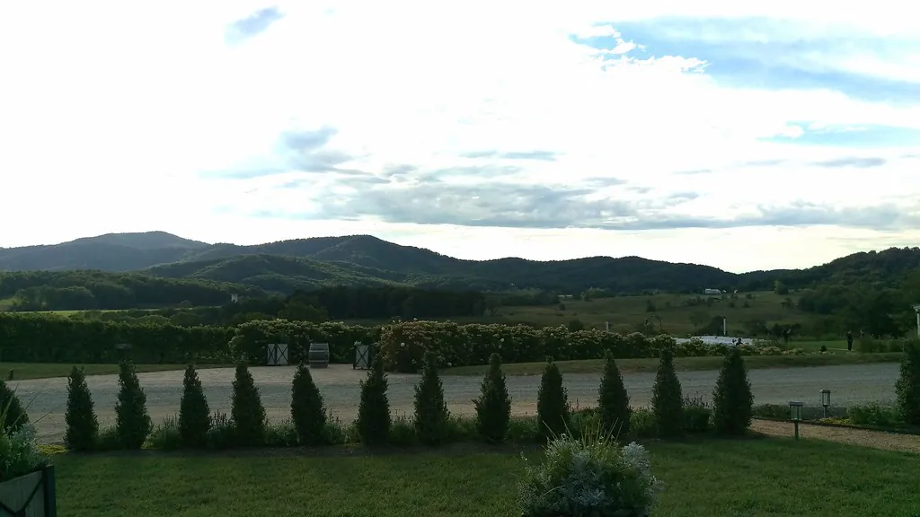 Pippin Hill Farm & Vineyards