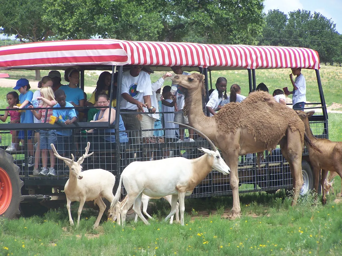 Johnson City — Exotic Resort Zoo