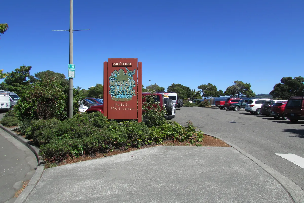 Feiro Marine Life Center
