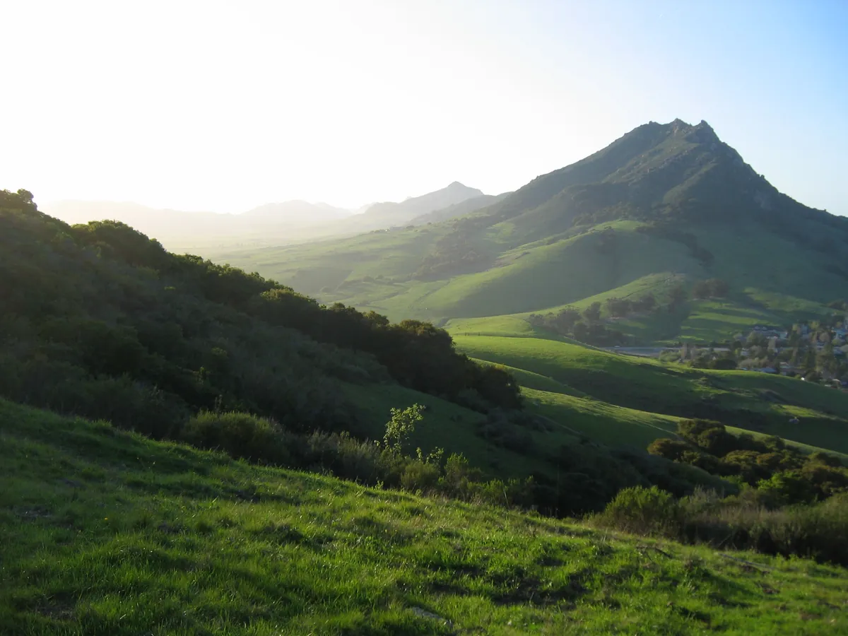 Bishop Peak Natural Reserve