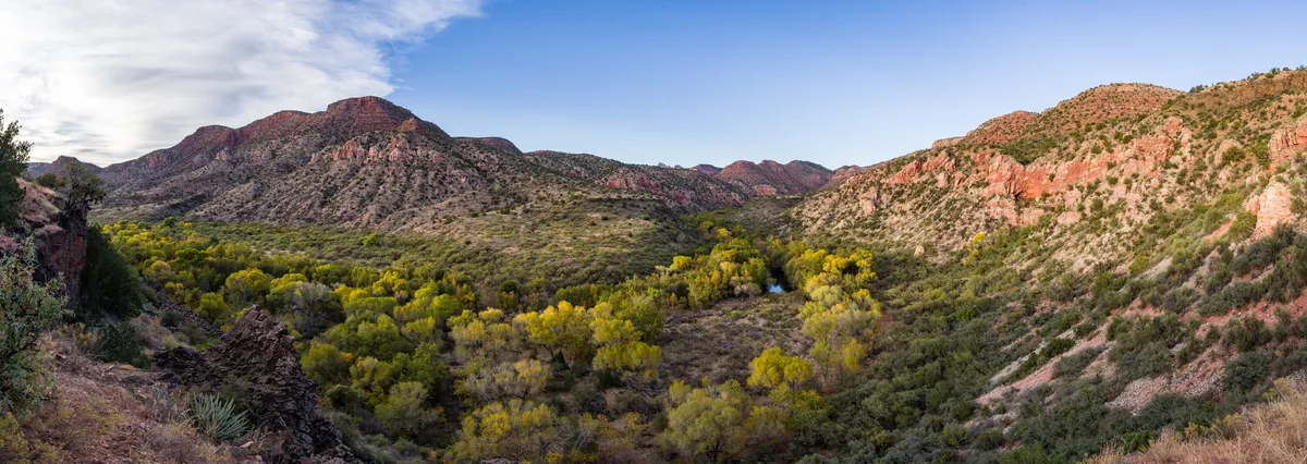 Coconino National Forest