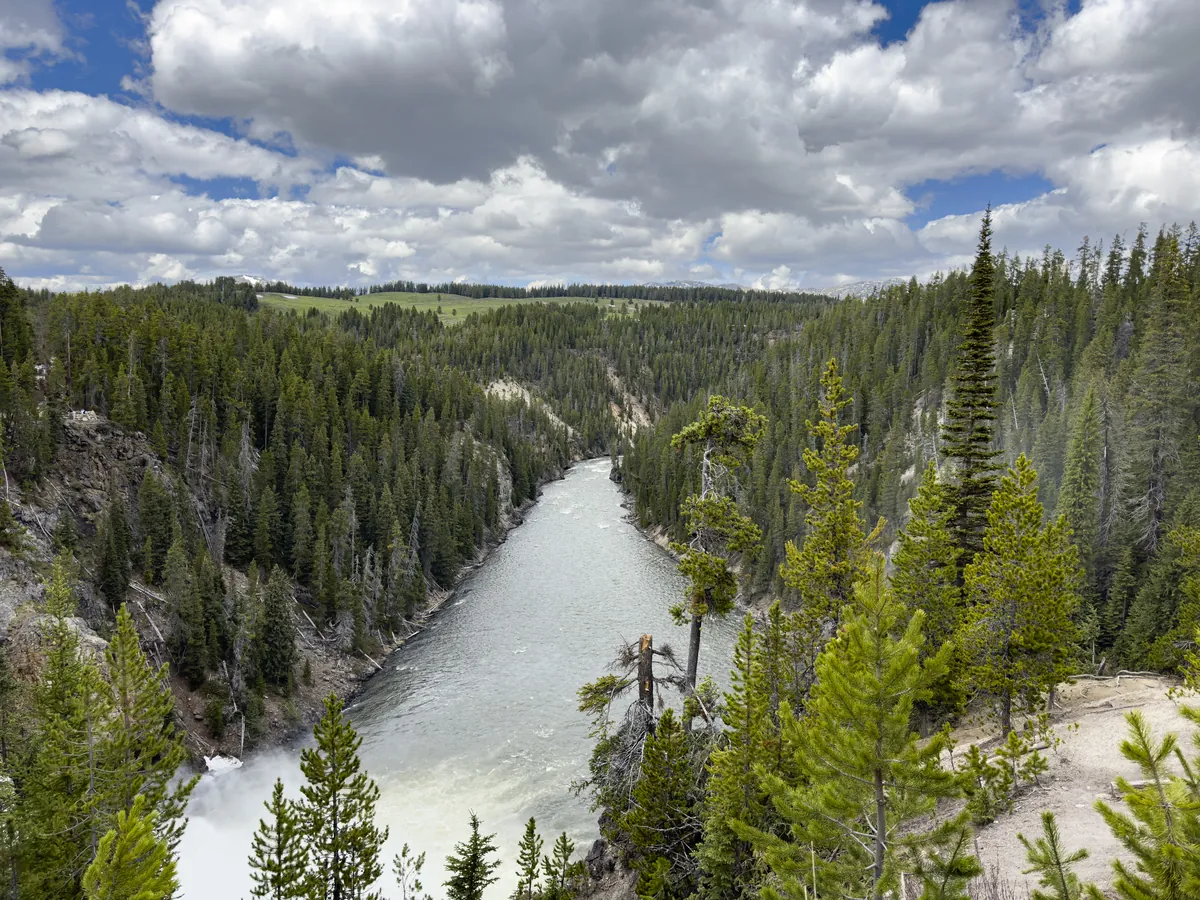 Yellowstone River