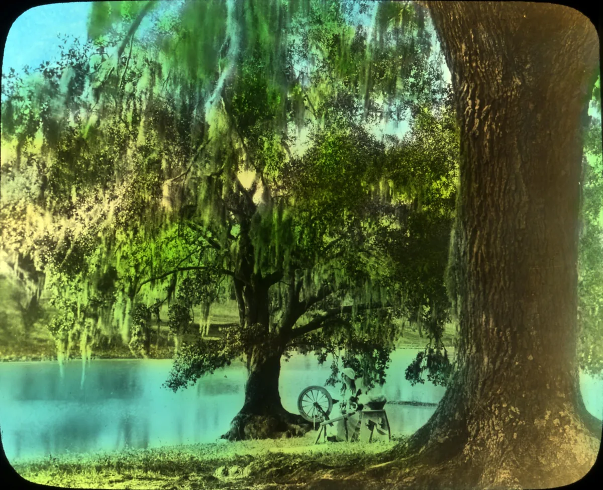 Bayou Teche — The Snake That Became a River — historical photo