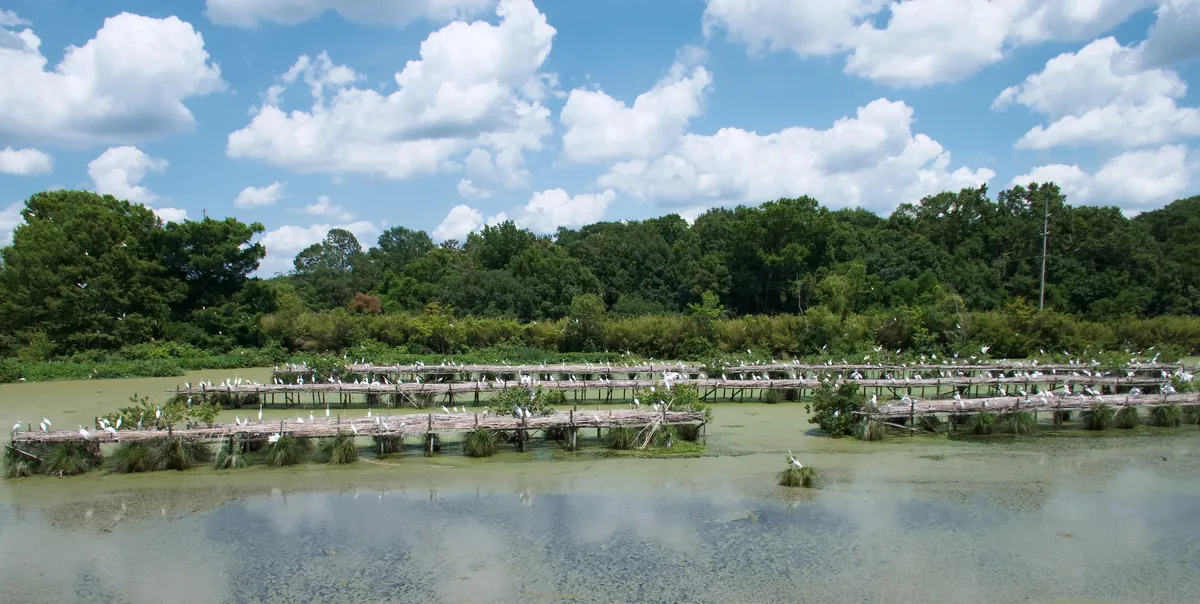 The Teche Trail — Bayou to Bayou