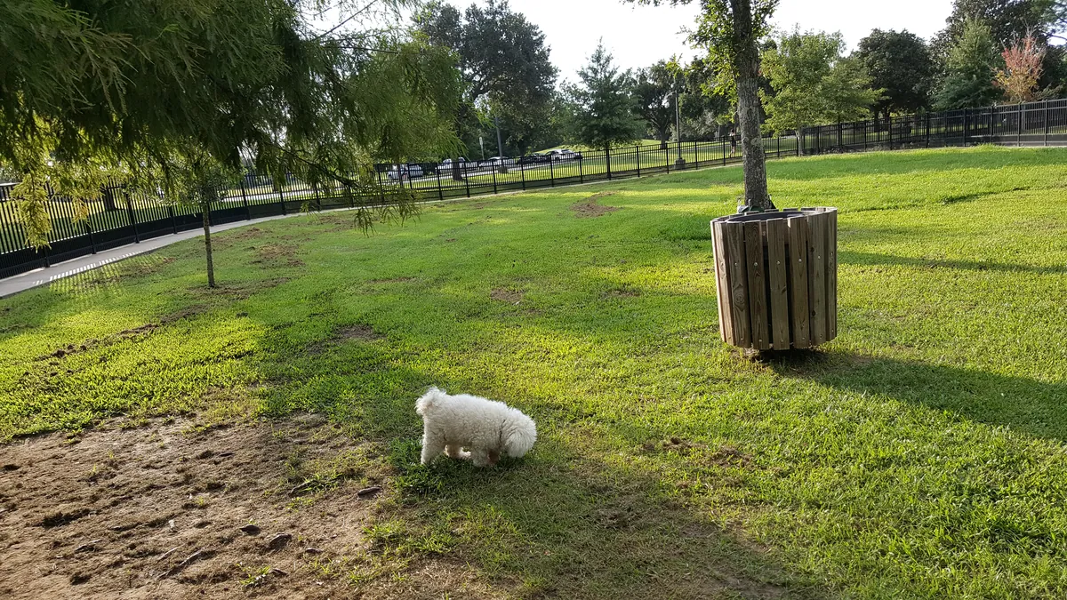 Lafreniere Park