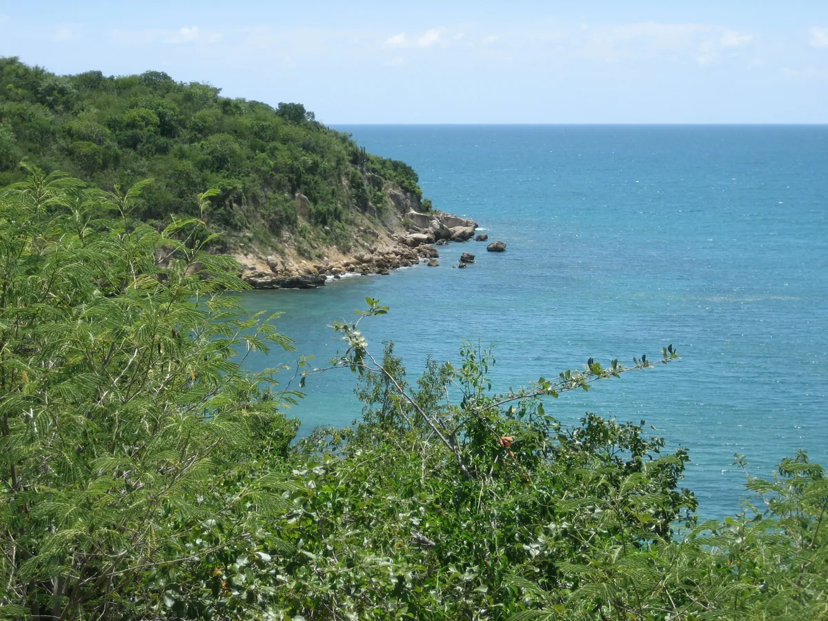 Bosque Estatal de Guánica (Guánica Dry Forest)