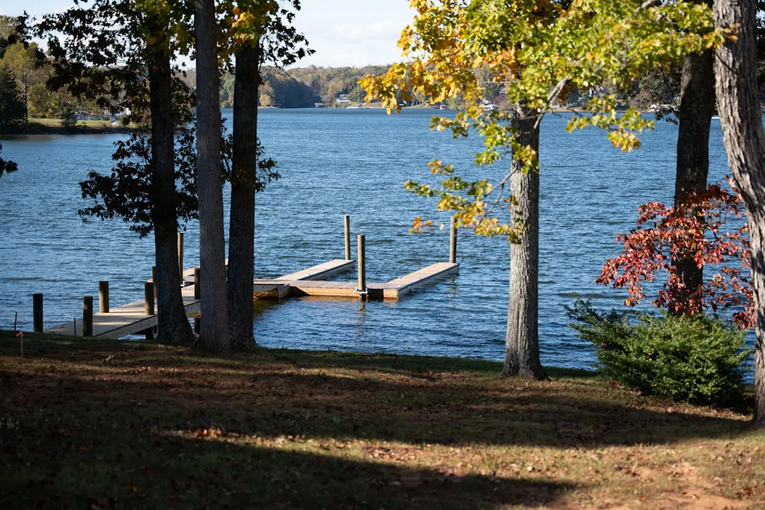 Bedford & the Lake — Honor and Water