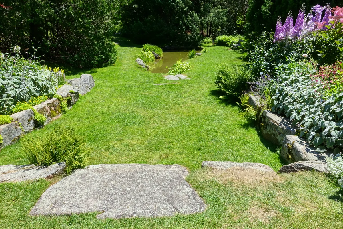 Thuya Garden