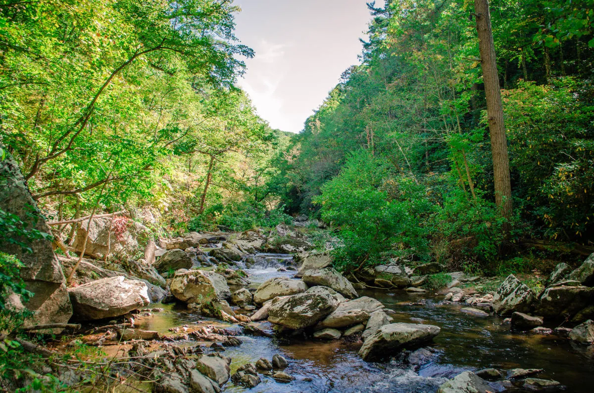 Bottom Creek Gorge