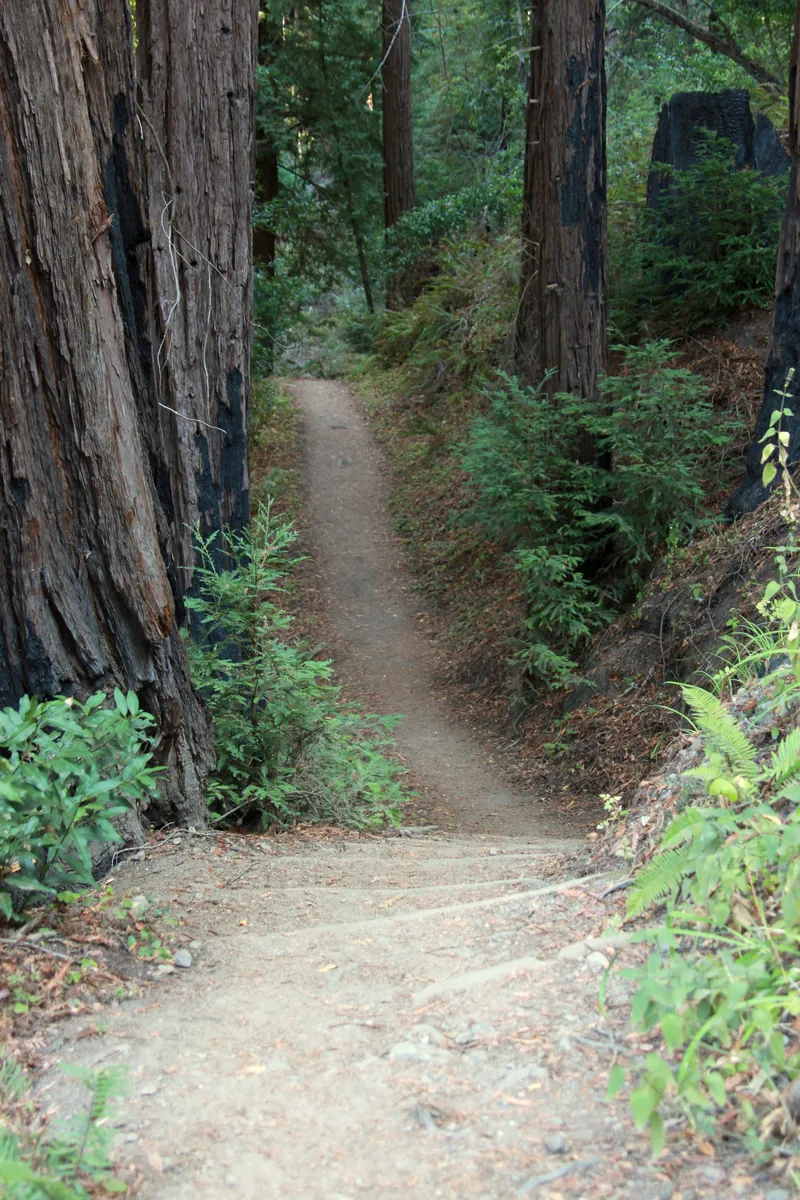 Big Sur Station / Ventana Wilderness Trailhead