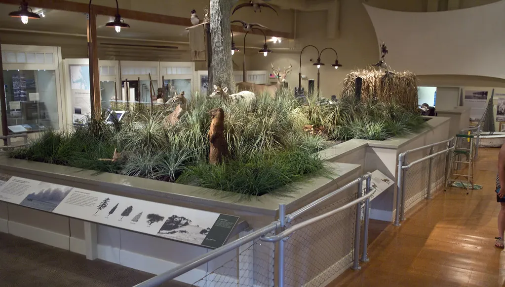Outer Banks Center for Wildlife Education