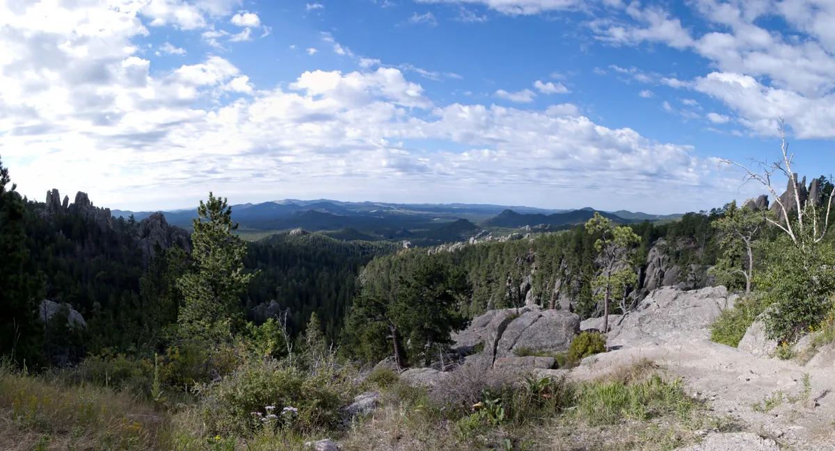 Needles Highway (SD-87)