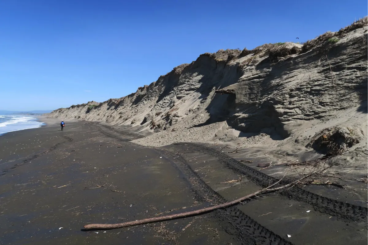 Moss Landing State Beach and Harbor
