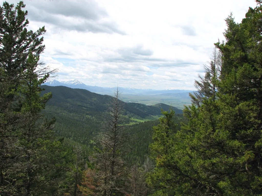 Suce Creek Trailhead and Emigrant Gulch