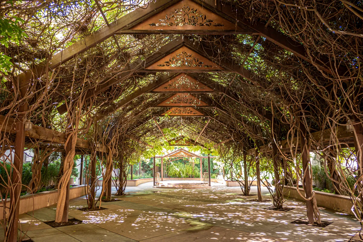 ABQ BioPark (Albuquerque Biological Park)