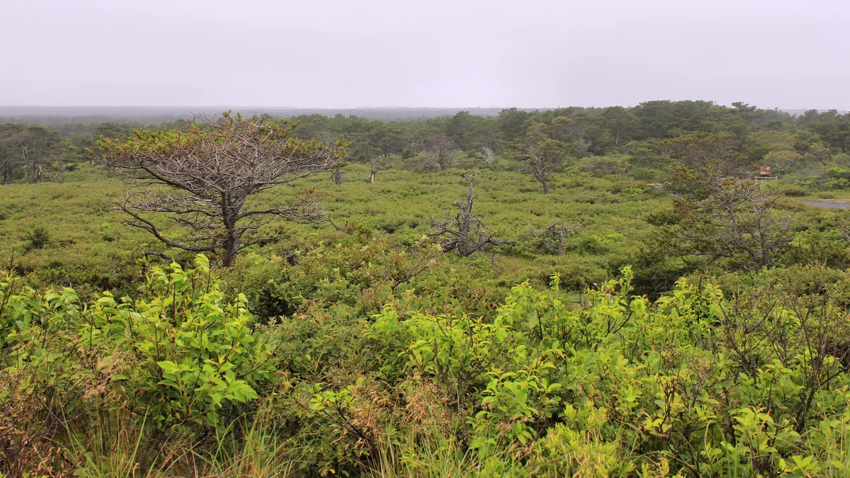 Marconi Station Site