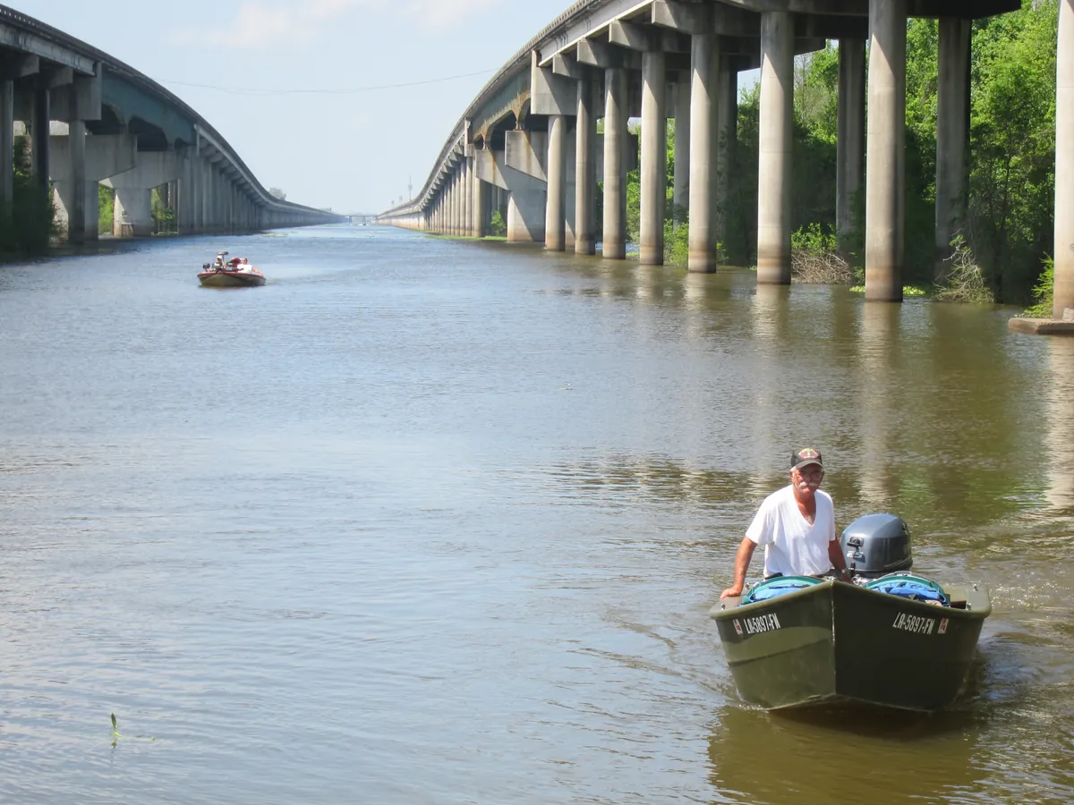 Atchafalaya Basin Swamp Tours