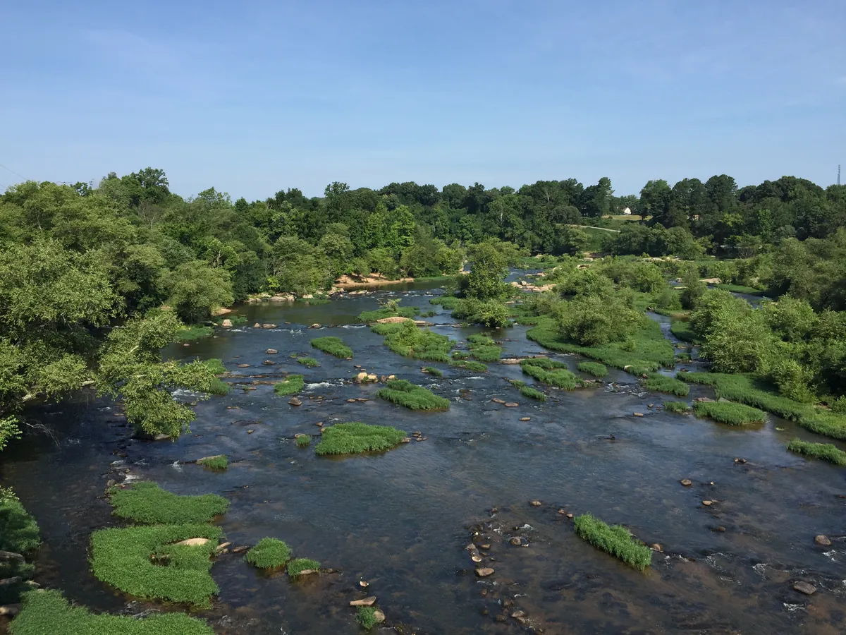 Rappahannock River Swimming Access (Falmouth Beach / City Docks Area)