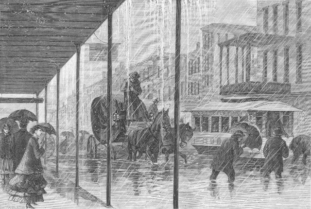 Horse-Drawn Carriages — The Quarter's Rolling History Lesson