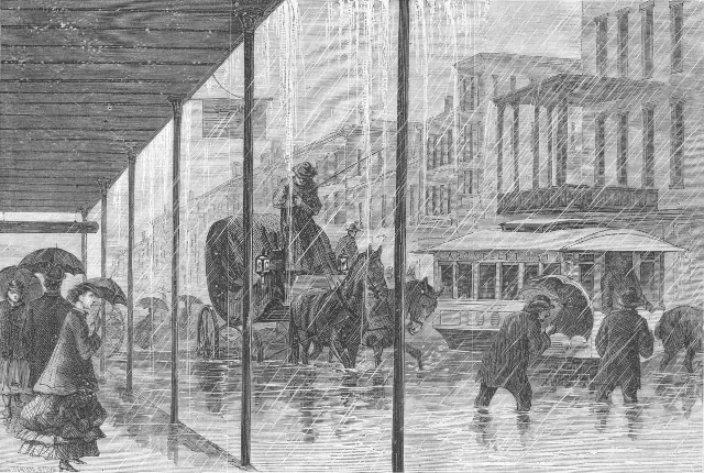 Horse-Drawn Carriages — The Quarter's Rolling History Lesson