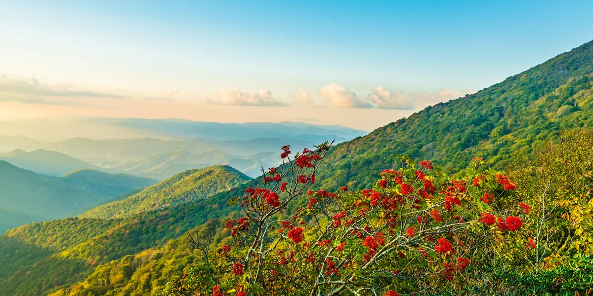 Craggy Gardens