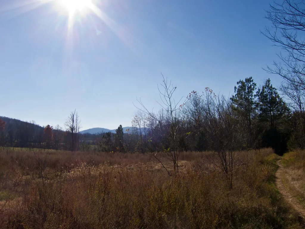 Rivanna Trail