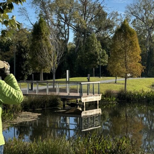 Moncus Park — The Horse Farm Saved