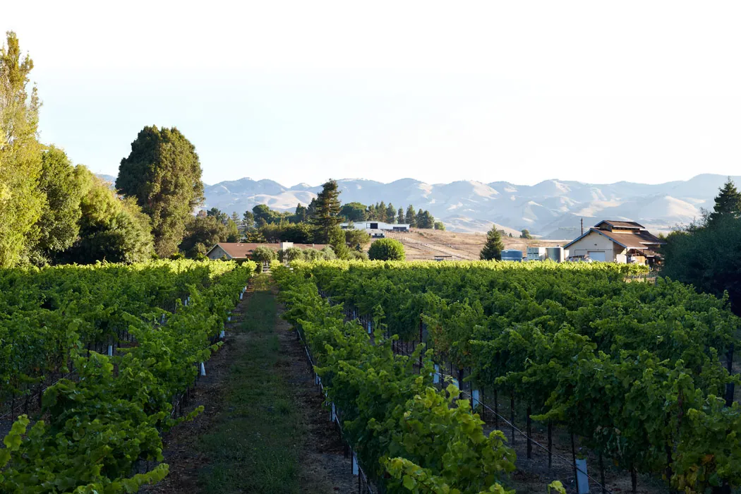 Claiborne & Churchill Winery (Edna Valley)