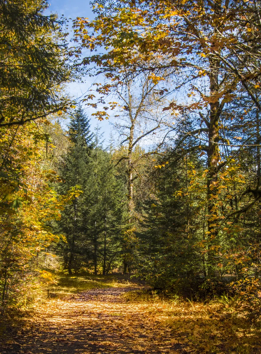 Three Sisters Wilderness
