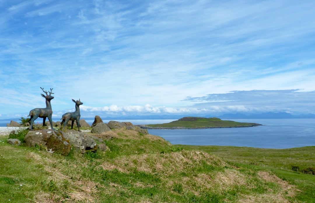 Deer Island — The Hermit's Island