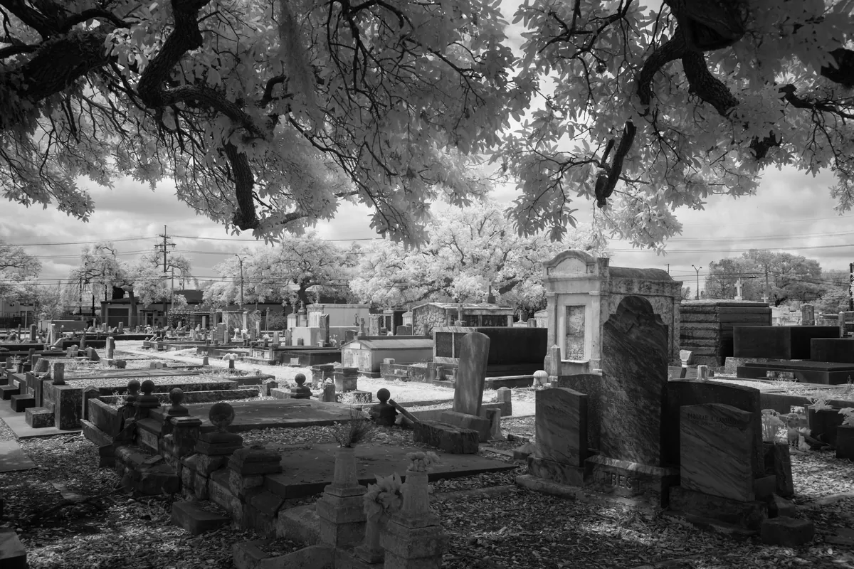Cypress Grove Cemetery — historical photo