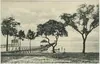 Long Beach Harbor — The Working Waterfront — historical photo