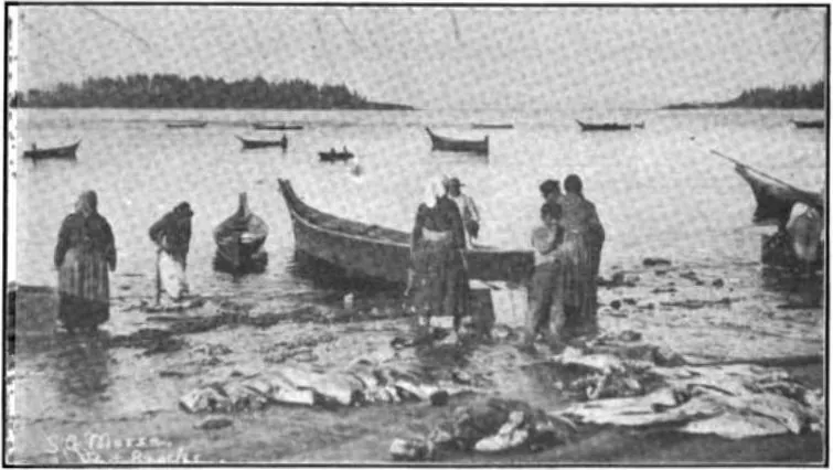 Neah Bay (Makah Tribe Village) — historical photo