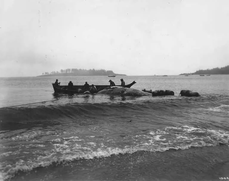 Neah Bay (Makah Tribe Village) — historical photo