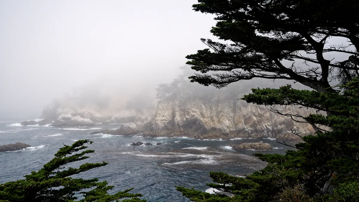 Point Lobos State Natural Reserve