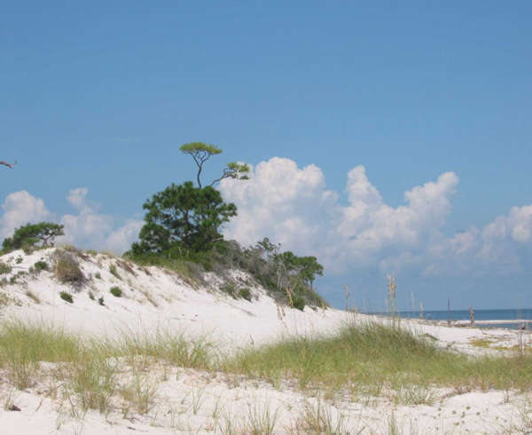 Gulf Islands National Seashore — Davis Bayou