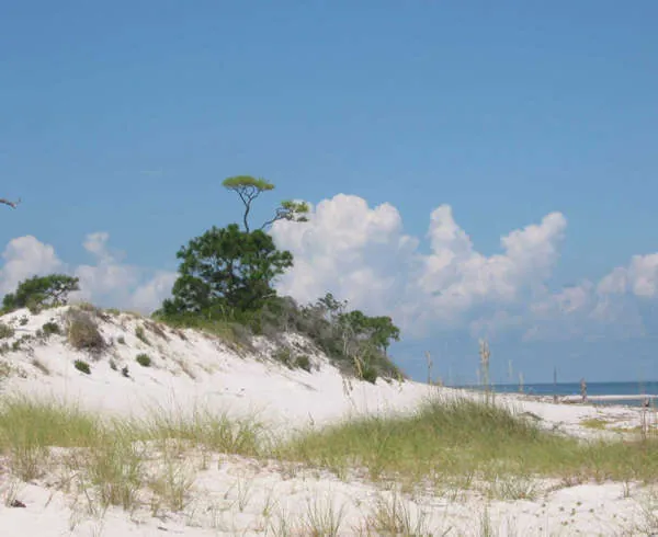 Gulf Islands National Seashore — Davis Bayou