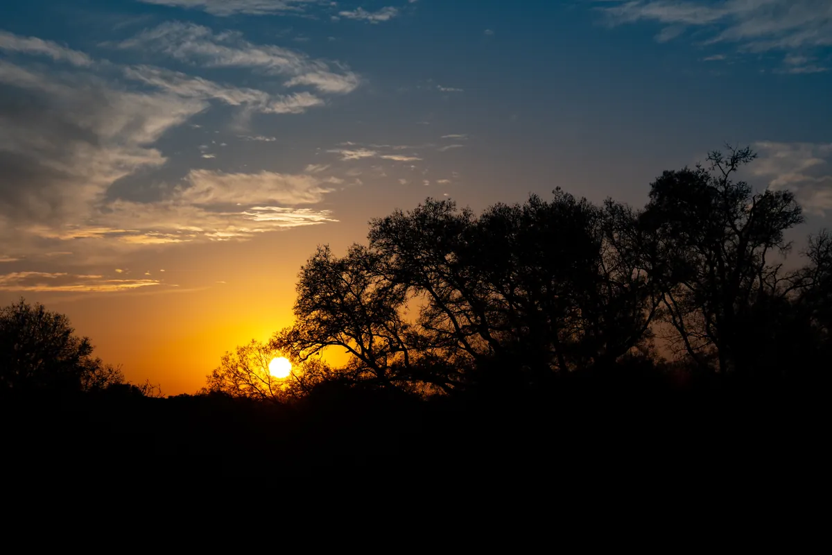 Guadalupe River State Park