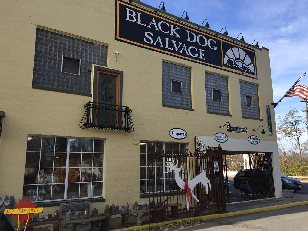 Black Dog Salvage
